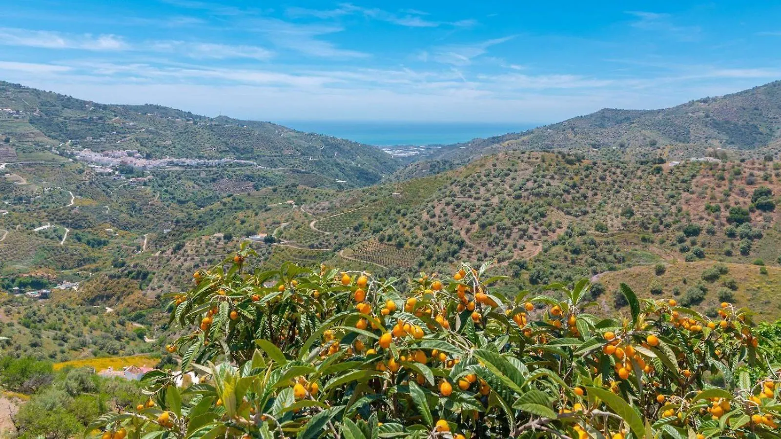 Cortijo La Encina Sayalonga By Ruralidays Villa Holiday home